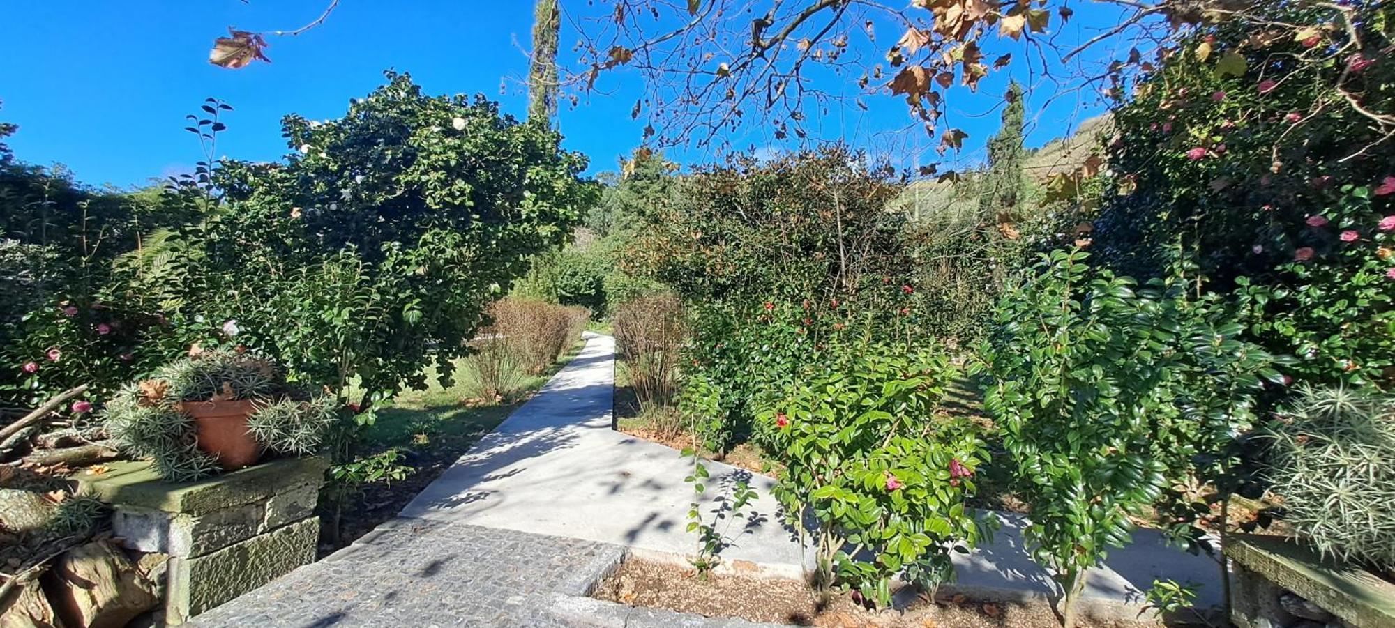 Carmo Country Villas Ponta Delgada المظهر الخارجي الصورة